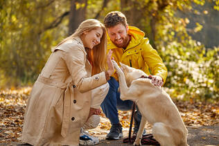 A couple bending down to great a dog with fall foliage on the ground and behind them