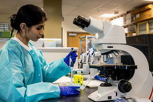 A student works in a lab