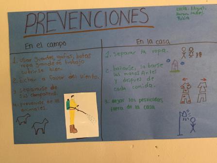 Example of Fuerza concepts for educational posters