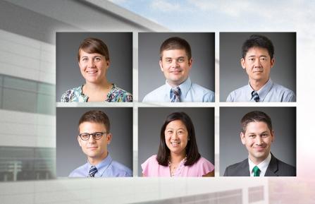 Research fellows