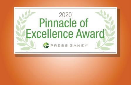 Image of Pinnacle of Excellence Award graphic