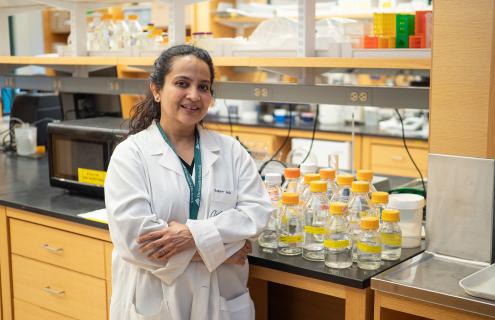 Arti Gaur, PhD