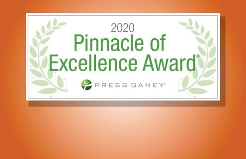 Image of Pinnacle of Excellence Award graphic