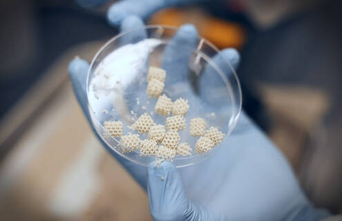 tissue-engineered scaffolds
