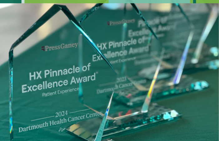 Pinnacle of Excellence Award trophies